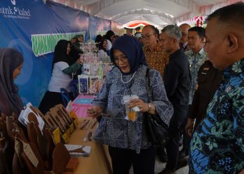 Wakil Menteri UMKM Apresiasi Gerakan Ekonomi Rakyat di Banjarmasin