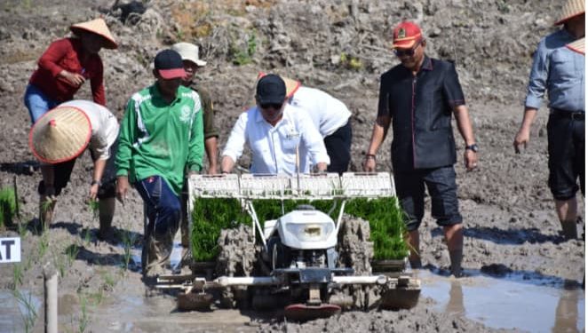 Tanam Padi Perdana di Lahan Seluas 40 Hektare, Wiyatno Dorong Kapuas Menjadi Sentra Produksi Padi di Kalteng