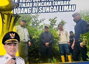 Survei Rencana Lokasi Percontohan Tambak Udang, Langkah nyata Bupati Kotabaru Dukung Ketahanan Pangan