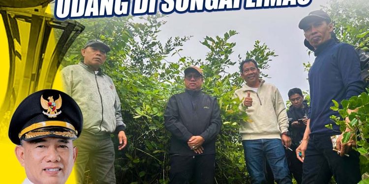 Survei Rencana Lokasi Percontohan Tambak Udang, Langkah nyata Bupati Kotabaru Dukung Ketahanan Pangan