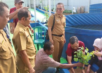 PLN UP2B Kalselteng Kembangkan Agrowisata Terpadu, Luncurkan Kebun Anggur dan Integrated Farming Pokmas