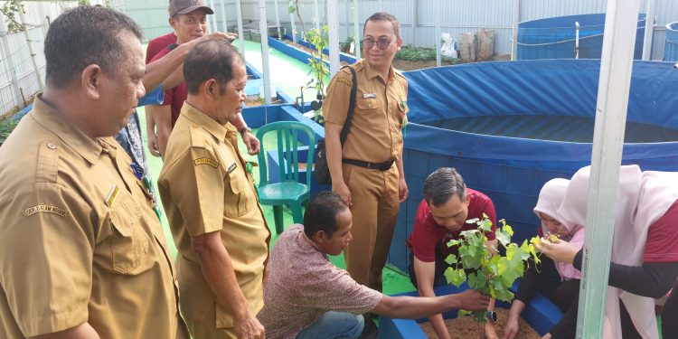 PLN UP2B Kalselteng Kembangkan Agrowisata Terpadu, Luncurkan Kebun Anggur dan Integrated Farming Pokmas