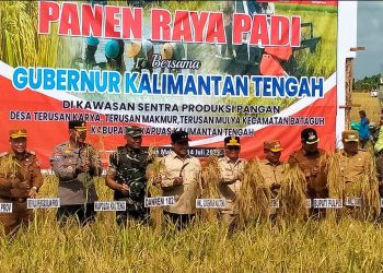 Panen Raya Padi, Bupati Wiyatno Optimistis Kapuas Jadi Tumpuan Pangan Regional dan Nasional