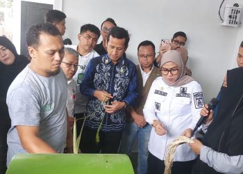 PLN Dukung UMKM Eco Pine Borneo, Dorong Produksi Serat Nanas untuk Ekonomi Hijau