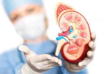 Kenapa Konsumsi Minuman Manis Bisa Bikin Gagal Ginjal? Ini Penyebab dan Cara Mencegahnya