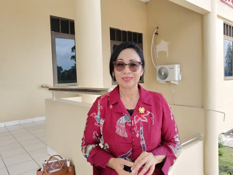 Ketua Komisi II Apresiasi Festival Anyaman Rotan III di Barito Selatan