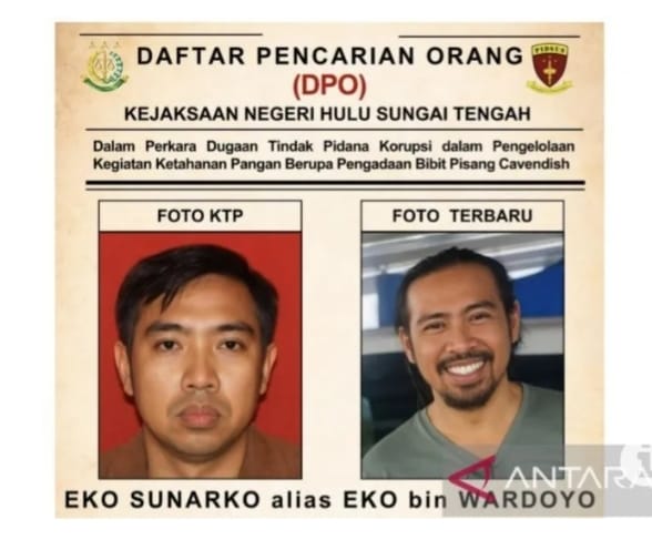 Kejari HST Tetapkan OS sebagai DPO Kasus Korupsi Pengadaan Bibit Pisang Cavendish