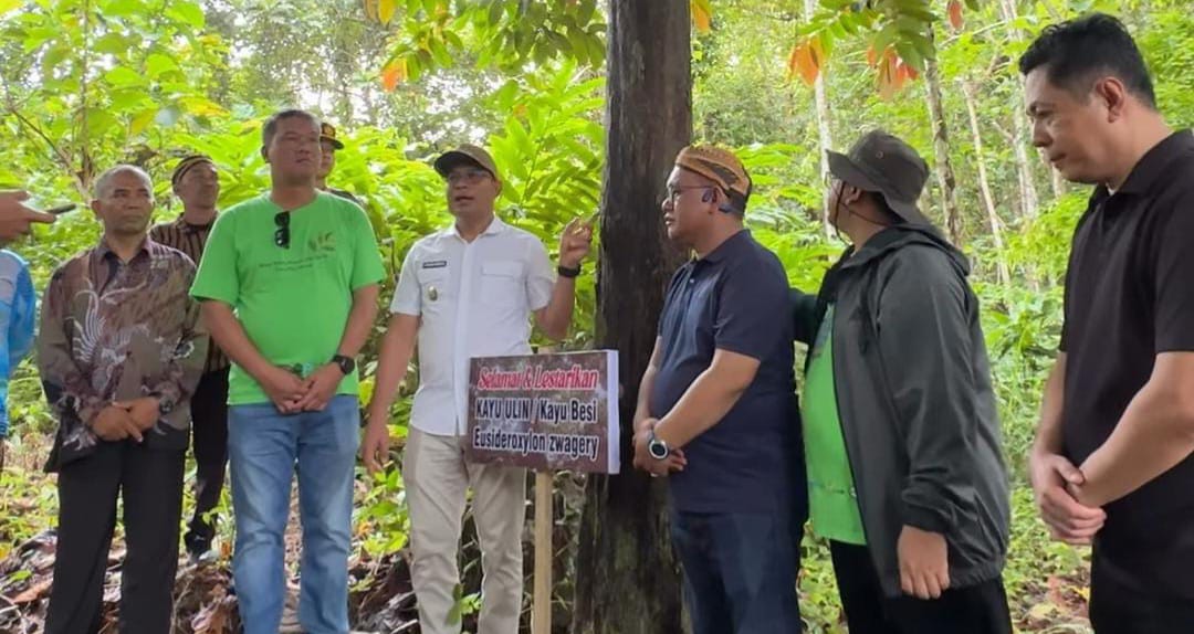 Closing MP2AF: Grebek Kampung di Desa Sebelimbingan dan Tanam Bibit Ulin