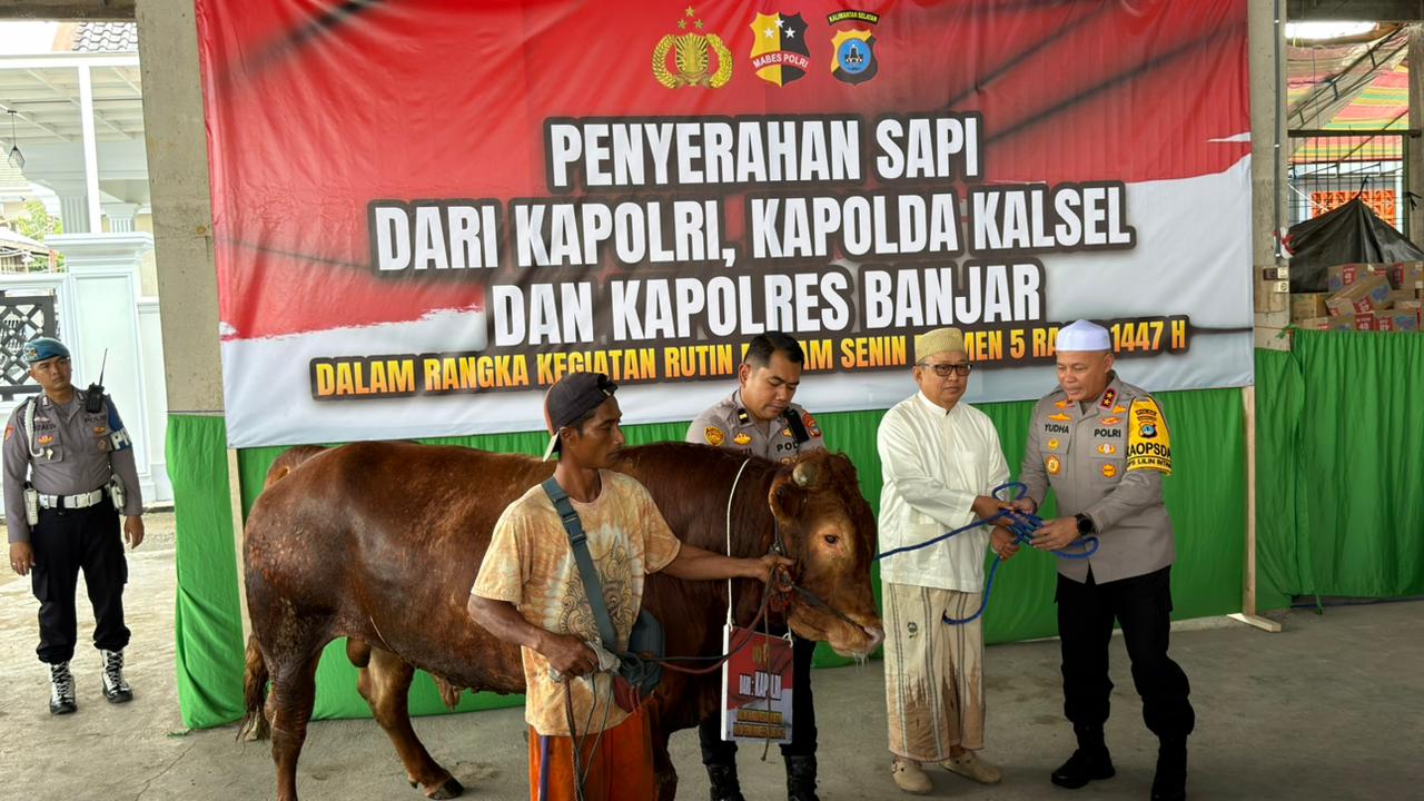 Haul Guru Sekumpul 5 Rajab, Polda Kalsel Serahkan 3 Ekor Sapi untuk Dapur Umum
