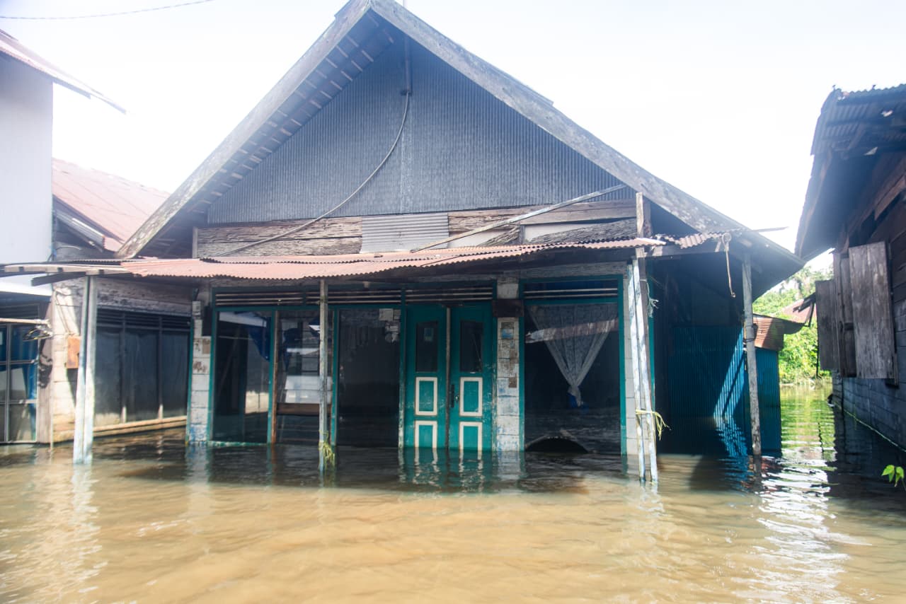 Kementerian LH Verifikasi Kegiatan Pembukaan Lahan yang Terindikasi Lalai Aturan