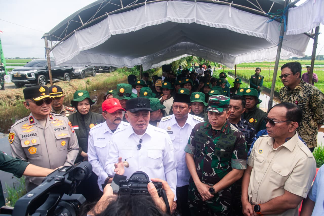 Tertinggi di Kalimantan, Produksi Padi Kalsel Capai 1,2 Juta Ton