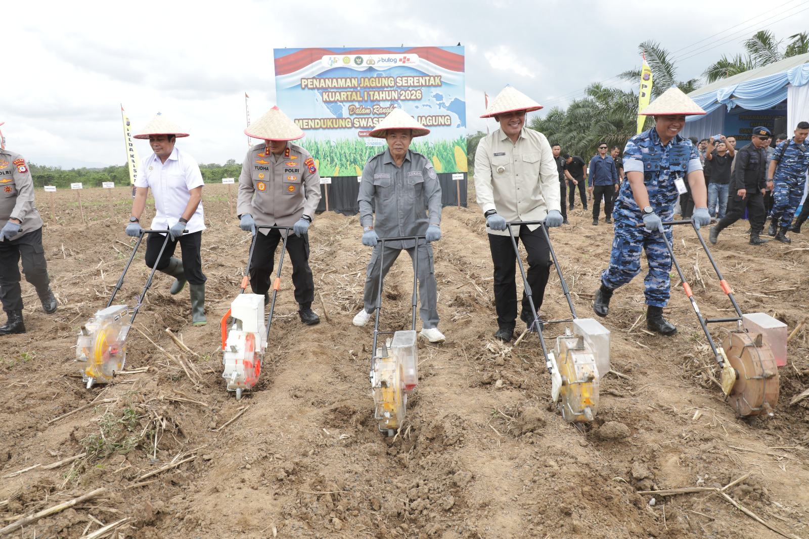 Perkuat Swasembada Pangan Nasional, Pemprov Kalsel Dukung Tanam Jagung Serentak