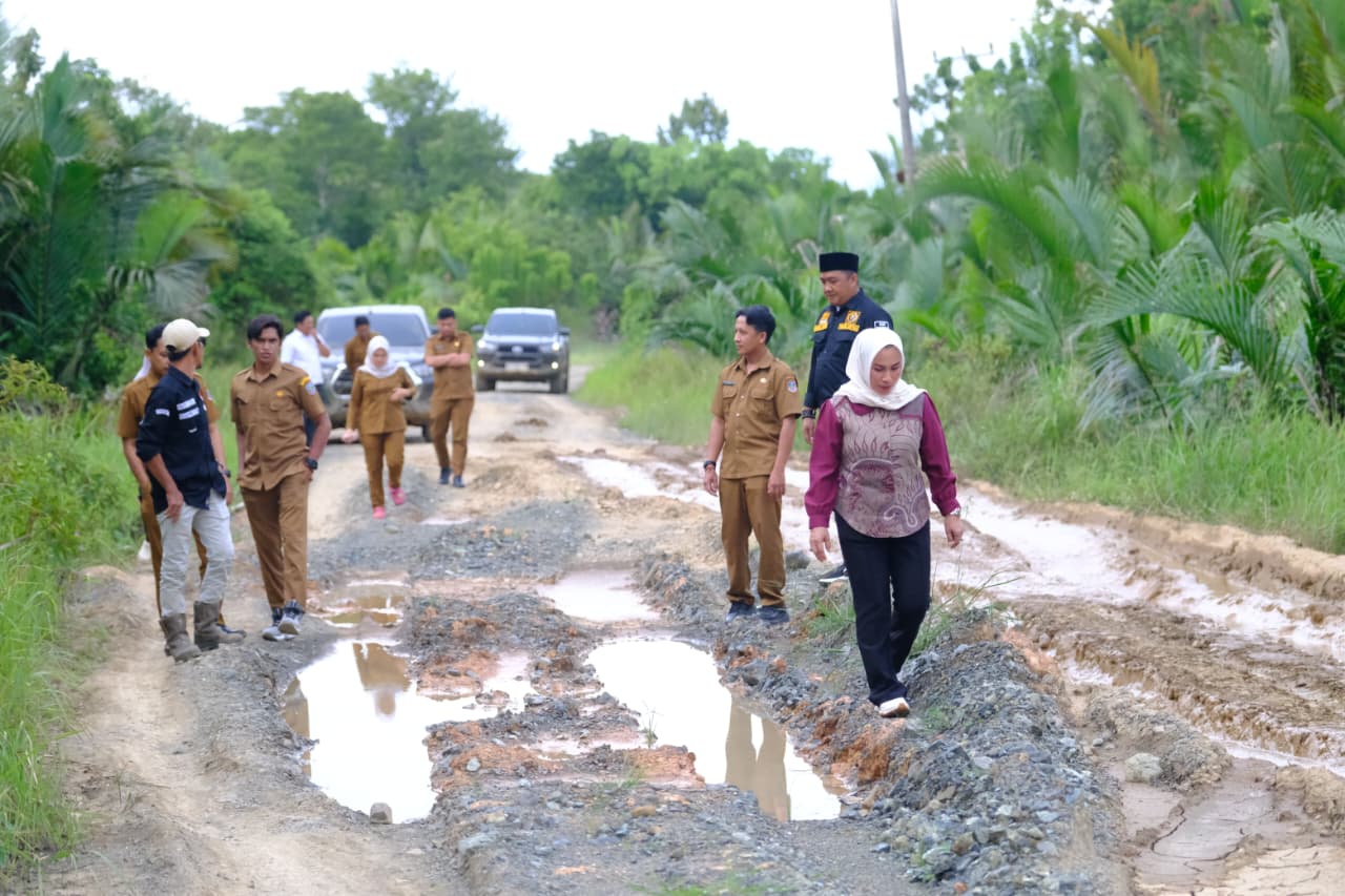 Respons Cepat, DPRD Kotabaru Tinjau Jalan Rusak Usai Viral di Medsos