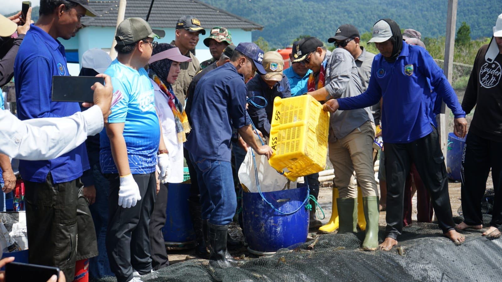 Panen Udang Vaname Perdana Jadi Tonggak Baru Perikanan Budidaya Kotabaru
