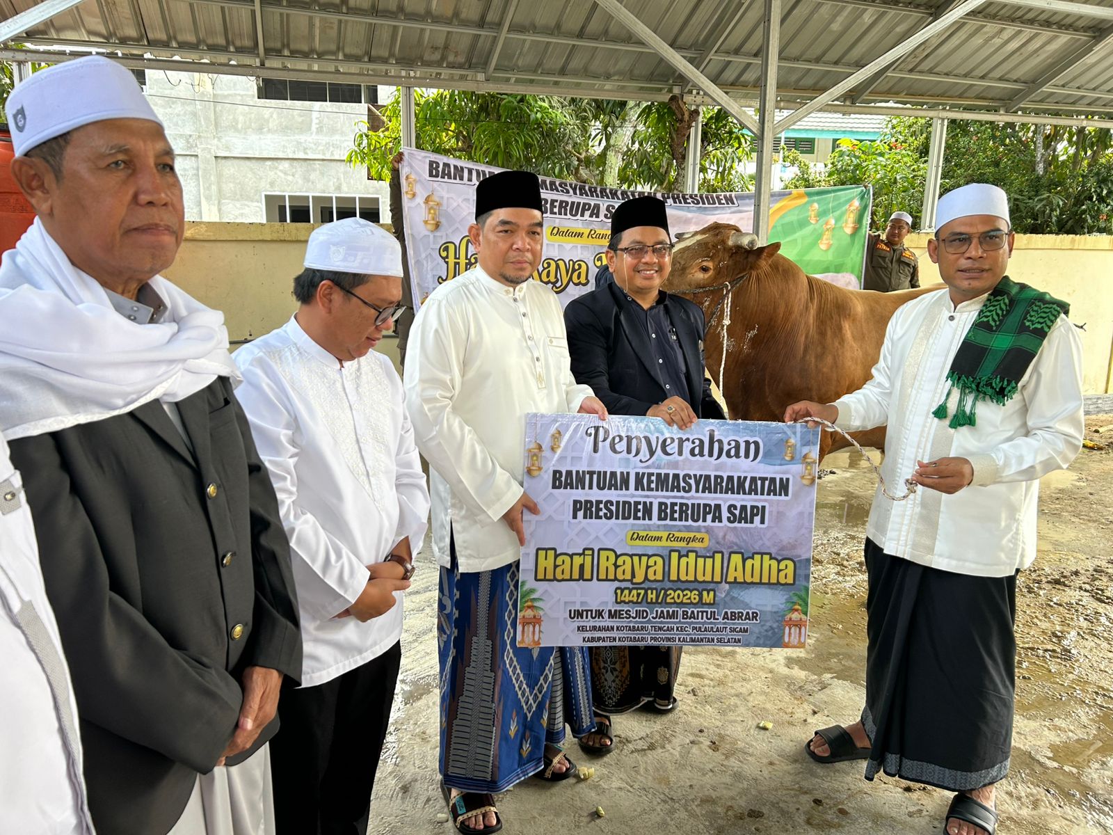 Pemkab Kotabaru Salurkan Sapi Kurban Bantuan Presiden, Ribuan Kupon Dibagikan