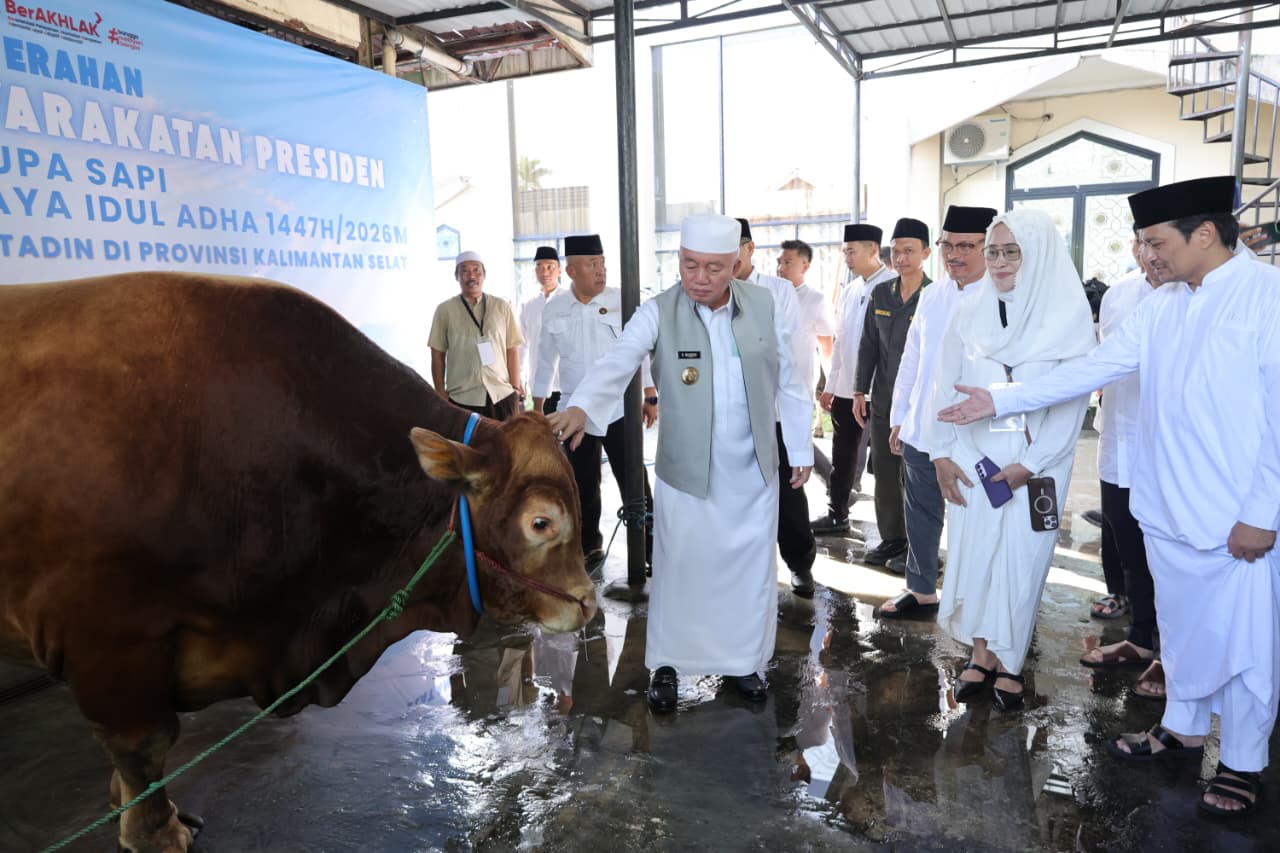 Gubernur Kalsel Serahkan Bantuan Sapi Presiden Prabowo