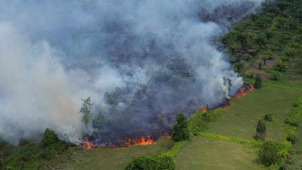 Kota Sampit Diselimuti Kabut Asap Karhutla, 8 Titik Api Masih Ditangani BPBD Kotim