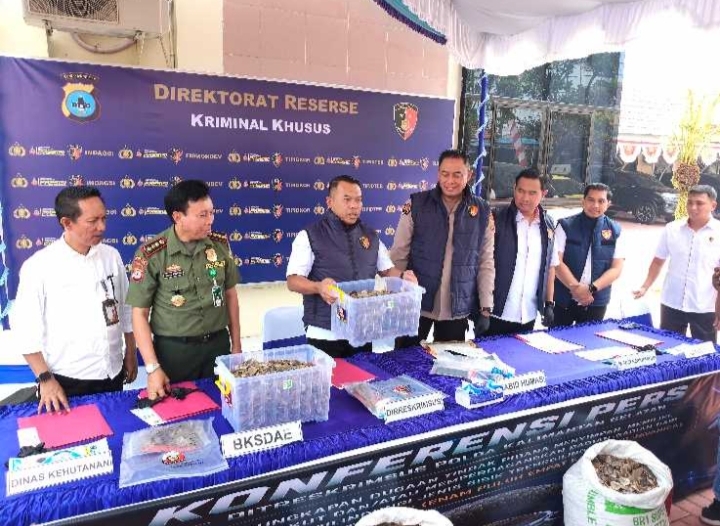 Polda Kalsel Gagalkan Perdagangan Ilegal 64 Kilogram Sisik Trenggiling