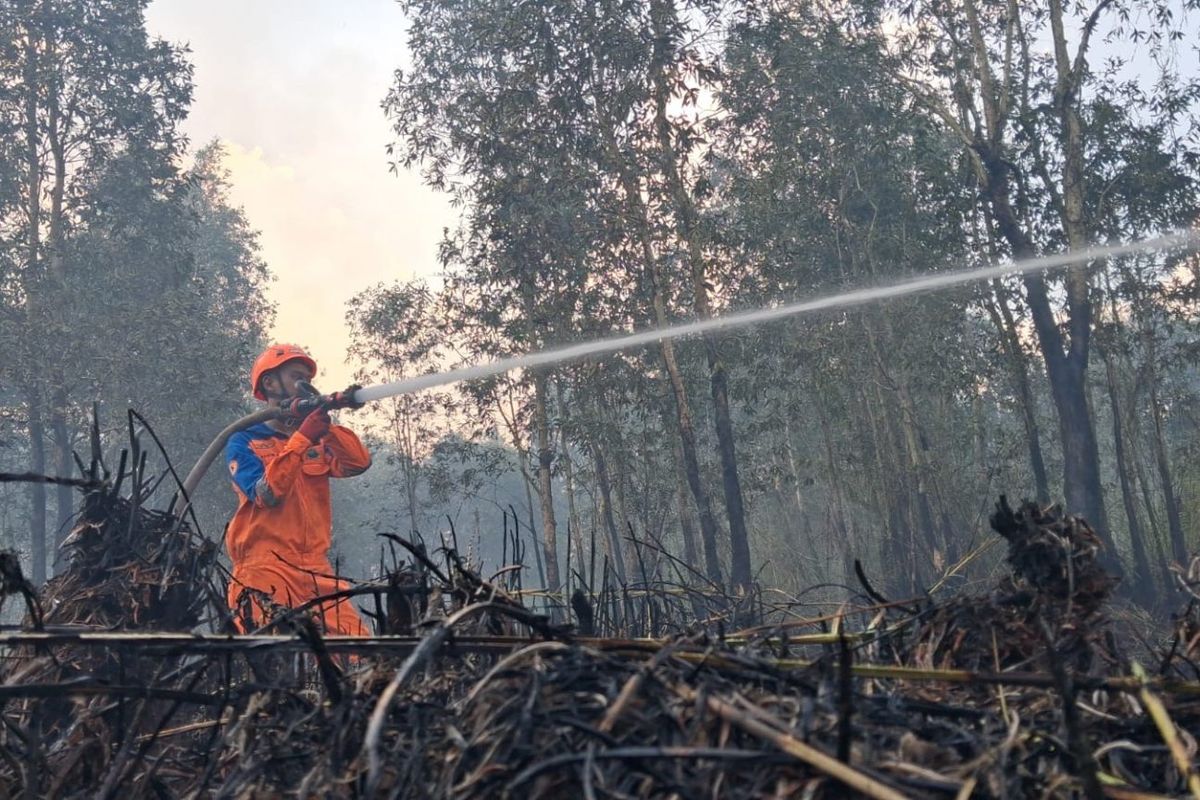Kabut Asap Makin Parah di Banjarbaru, Jam Masuk Sekolah Diundur Jadi Pukul 09.00 Wita