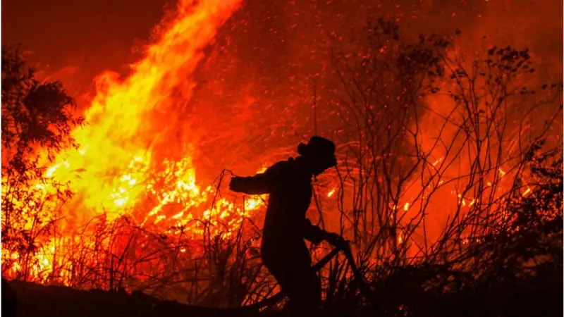 BNPB Ungkap Sumber Air Mulai Menyusut, Pemadaman Karhutla Makin Sulit