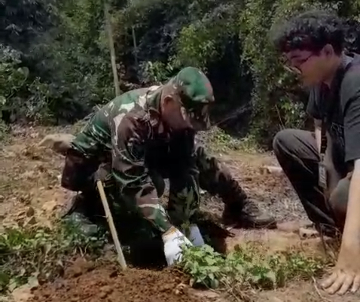 Tanam 100 Pohon Kopi, Babinsa dan Mahasiswa ULM Dukung Penghijauan Meratus