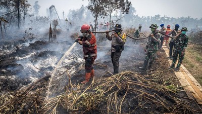 BNPB Ungkap Sumber Air Menyusut, Pemadaman Karhutla Makin Sulit