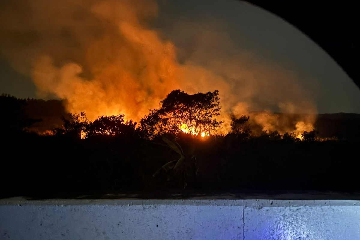 KLH Sebut 19 Perusahaan Biang Karhutla, 12 Diantaranya di Kalimantan
