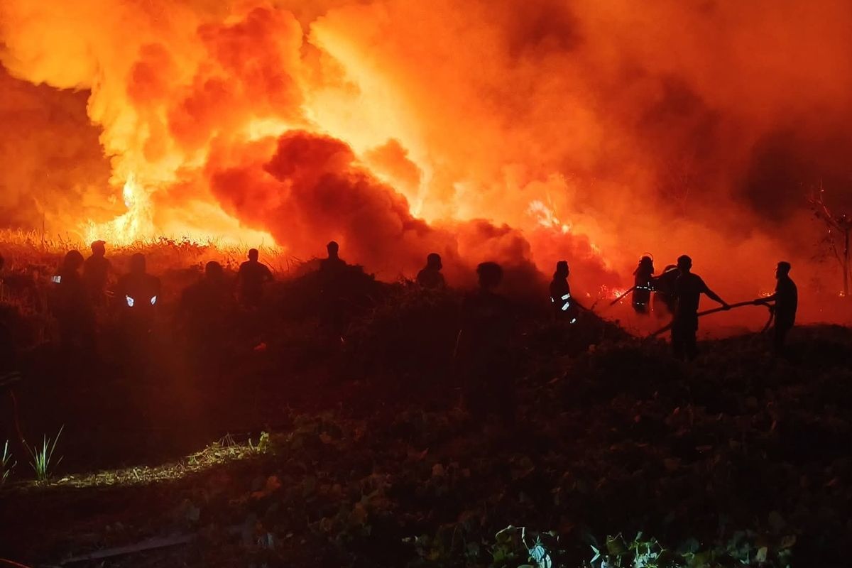 21 Perusahaan Disegel Terkait Karhutla, Pelanggaran Bisa Berujung Pidana