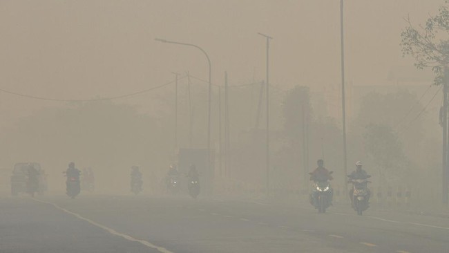 Studi Ungkap Kabut Asap Turunkan Kesuburan Pria
