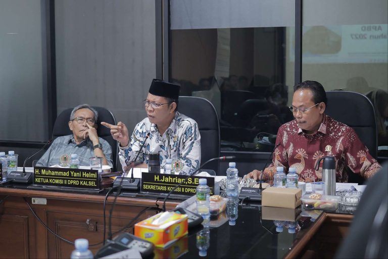 Target Ambisius dan Minimnya Pagu, Komisi II DPRD Kalsel Desak Rasionalisasi di APBD 2027