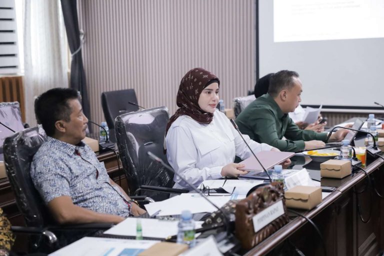 Komisi IV DPRD Kalsel Dorong Sektor Kesehatan Jadi Prioritas di 2027