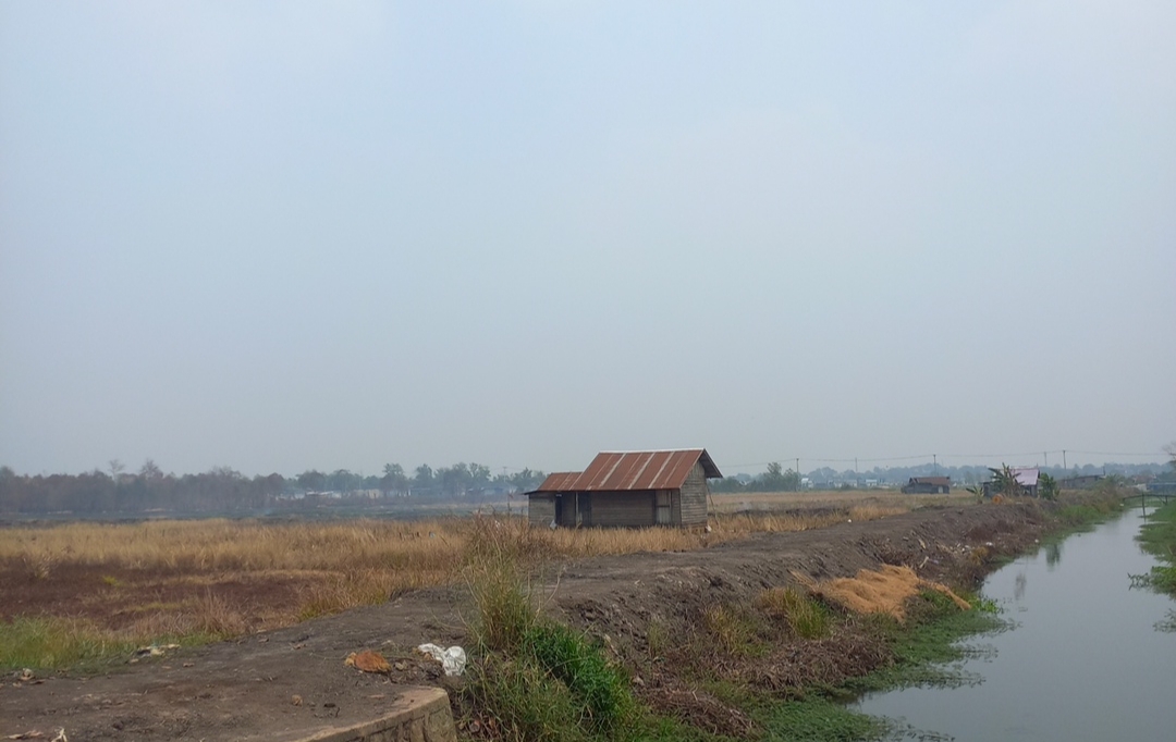 Lahan Basah Landasan Ulin dalam Pandangan Warga