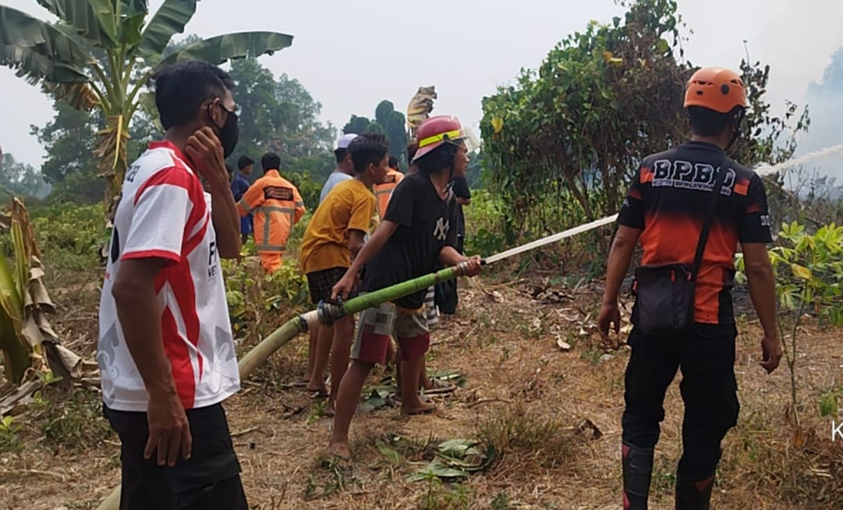 Karhutla Banjarmasin Capai 71 Kejadian, Terbanyak di Sungai Andai