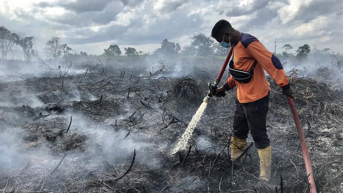 Cegah Karhutla, Pemerintah Siapkan Badan Restorasi Gambut dan Mangrove