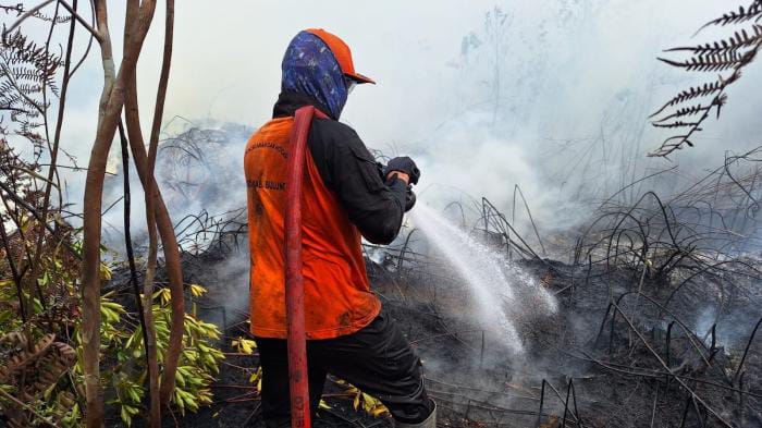 Akibat Asap Pekat, Relawan Meninggal Saat Padamkan Karhutla di Batola
